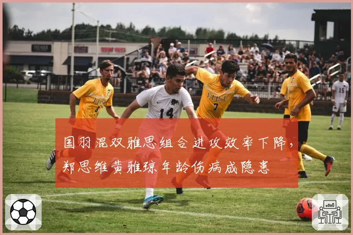 国羽混双雅思组合进攻效率下降，郑思维黄雅琼年龄伤病成隐患