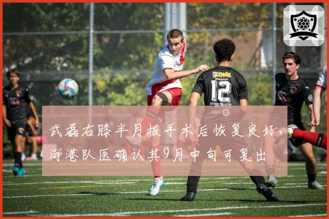 武磊右膝半月板手术后恢复良好,海港队医确认其9月中旬可复出
